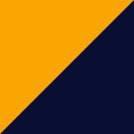 Gold and Navy
