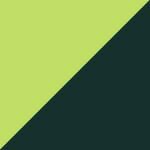Lime and Bottle
